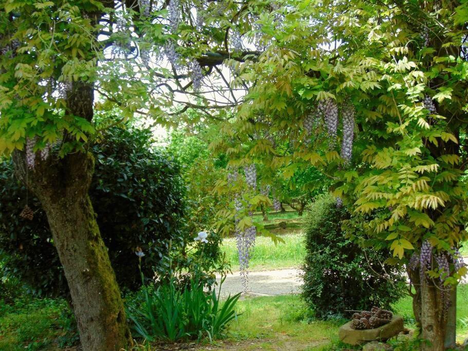 Villa Mirathe à Baleyssagues Extérieur photo